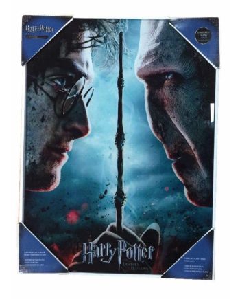 HARRY POTTER - Impression en Verre - Harry / Voldemort - 30X40 Cm - vue de face