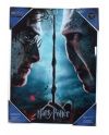 HARRY POTTER - Impression en Verre - Harry / Voldemort - 30X40 Cm - vue de face