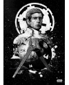 STAR WARS PILOTS - Magnetic Metal Poster 45x32 - Imperial Shuttle - vue principale