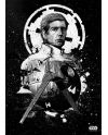 STAR WARS PILOTS - Magnetic Metal Poster 45x32 - Imperial Shuttle - vue de face