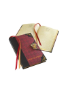 HARRY POTTER - Journal - Gryffondor - vue principale