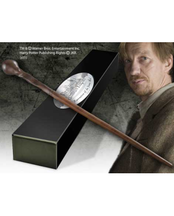 HARRY POTTER - Baguette du Professeur Remus Lupin - vue principale