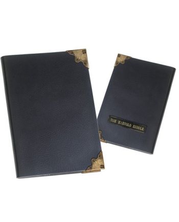 HARRY POTTER - Journal de Tom Jedusor - vue de profil