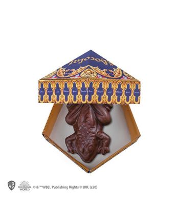 HARRY POTTER - Moule à chocogrenouille + 6 boîtes + 12 cartes sorciers - vue de face