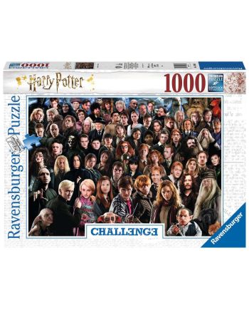 HARRY POTTER - Puzzle Challenge 1000P - vue principale