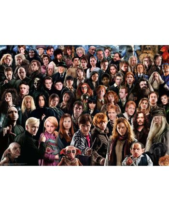 HARRY POTTER - Puzzle Challenge 1000P - vue de face