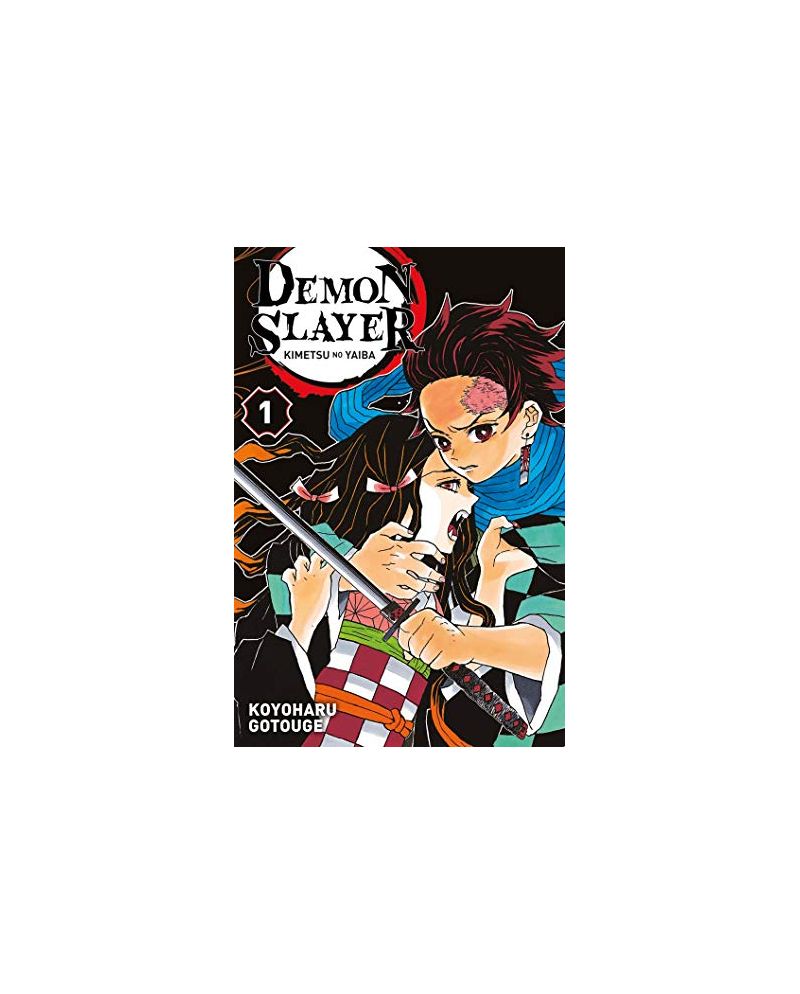 DEMON SLAYER - Tome 1 - vue principale