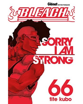 BLEACH - Tome 66 - vue principale