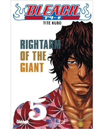 BLEACH - Tome 5 - vue principale