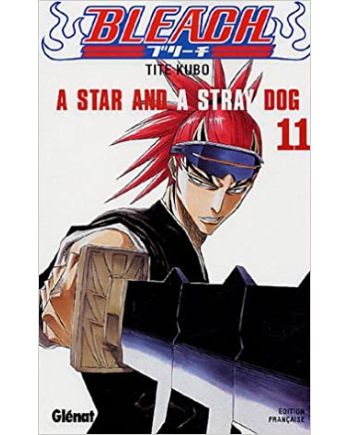 BLEACH - Tome 11 - vue principale