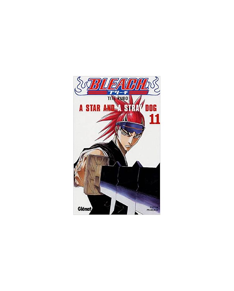 BLEACH - Tome 11 - vue principale