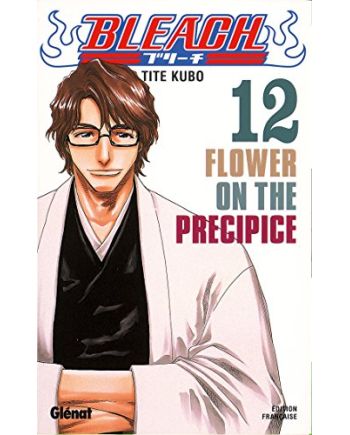 BLEACH - Tome 12 - vue principale