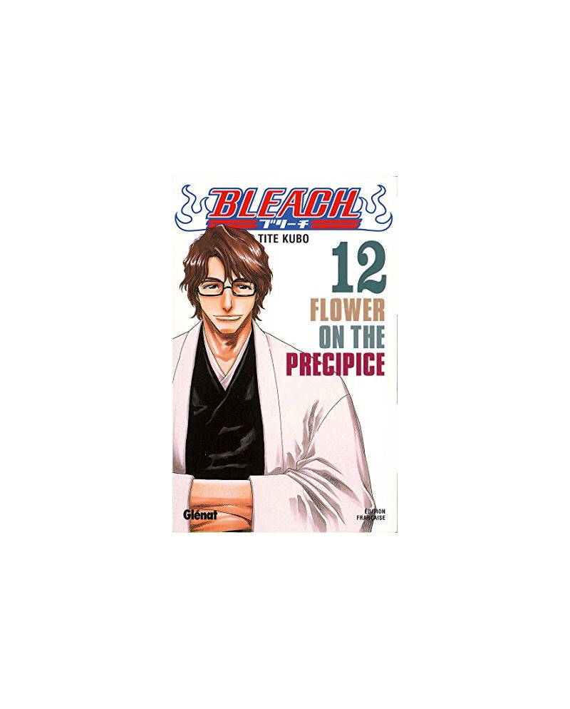 BLEACH - Tome 12 - vue principale