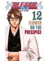 BLEACH - Tome 12 - vue principale