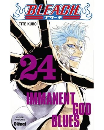 BLEACH - Tome 24 - vue principale