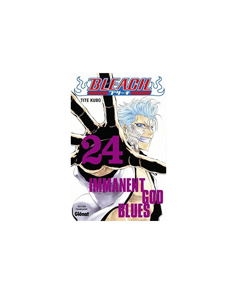 BLEACH - Tome 24 - vue principale