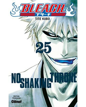 BLEACH - Tome 25 - vue principale