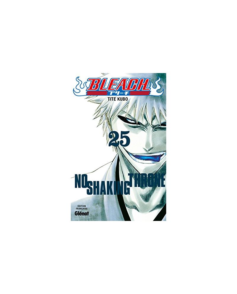 BLEACH - Tome 25 - vue principale