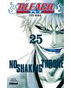 BLEACH - Tome 25 - vue principale