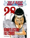BLEACH - Tome 28 - vue principale