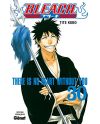 BLEACH - Tome 30 - vue principale