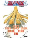 BLEACH - Tome 36 - vue principale