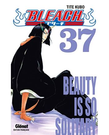 BLEACH - Tome 37 - vue principale