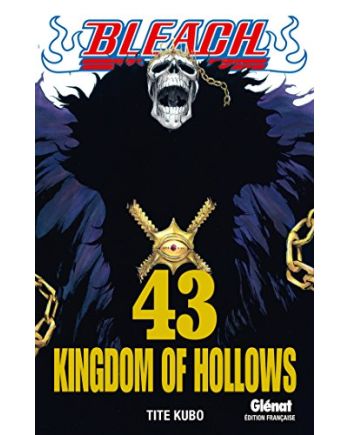 BLEACH - Tome 43 - vue principale