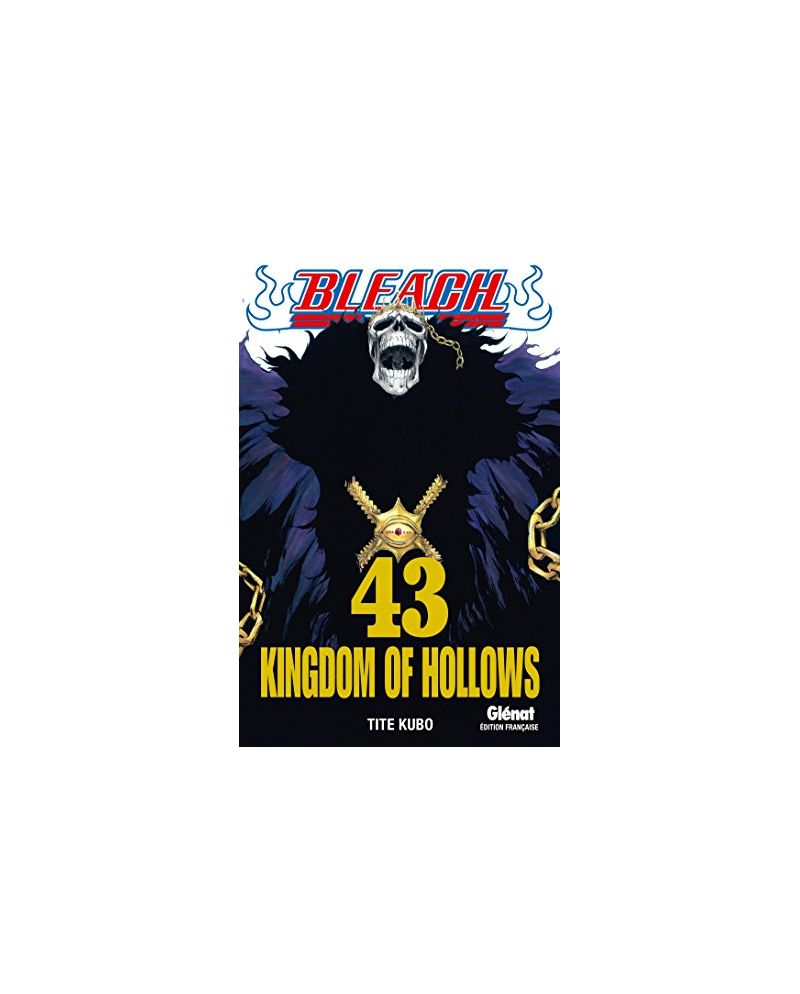 BLEACH - Tome 43 - vue principale