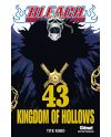 BLEACH - Tome 43 - vue principale