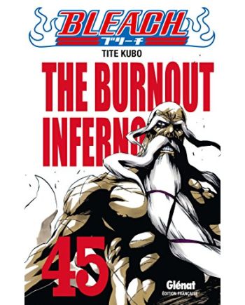 BLEACH - Tome 45 - vue principale