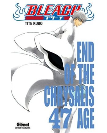 BLEACH - Tome 47 - vue principale