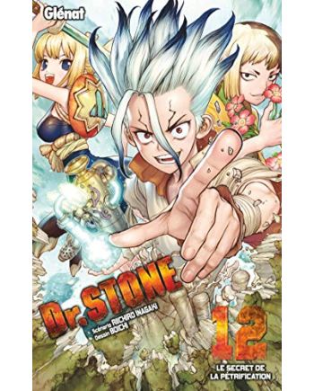 DR STONE - Tome 12 - vue principale