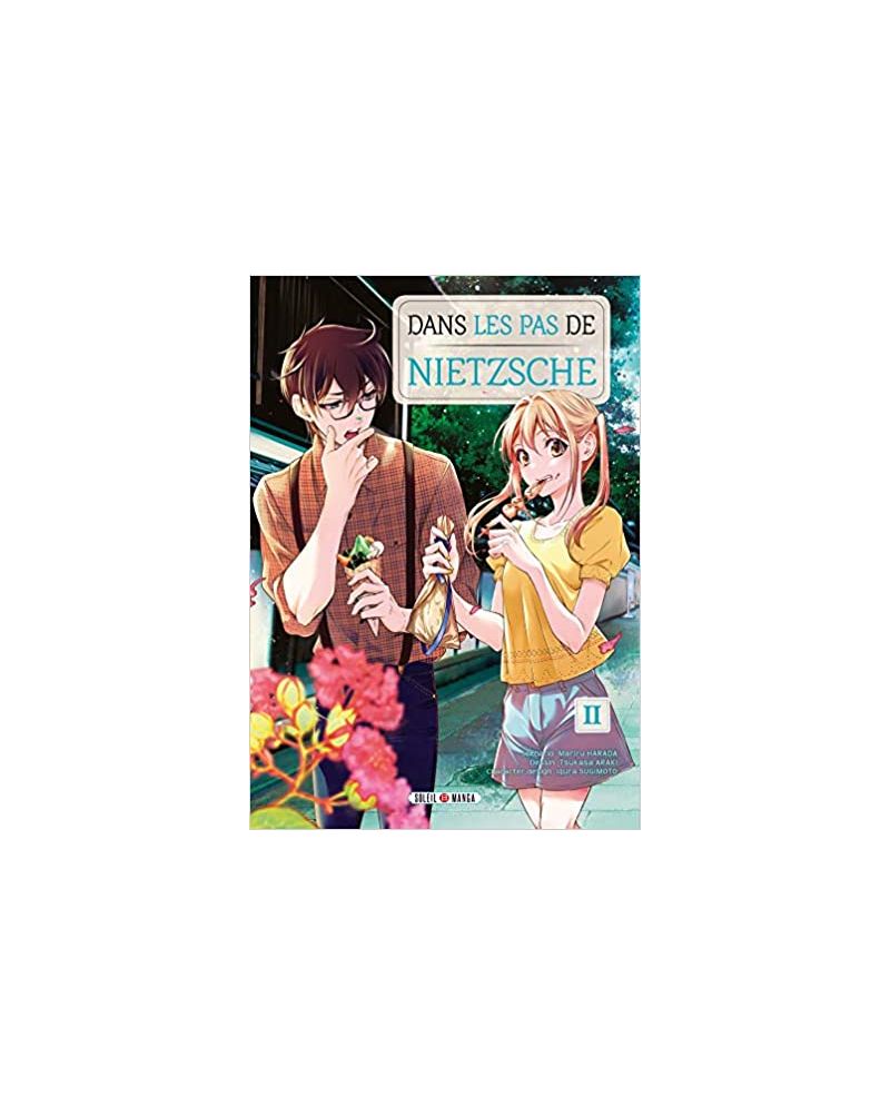 DANS LES PAS DE NIETZSCHE - Tome 2 - vue principale