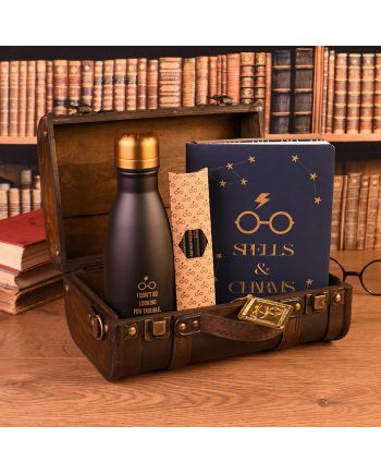 HARRY POTTER - Trouble Finds Me - Valise gift set premium - vue principale