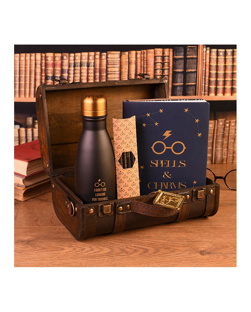 HARRY POTTER - Trouble Finds Me - Valise gift set premium - vue principale