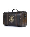 HARRY POTTER - Trouble Finds Me - Valise gift set premium - vue de profil