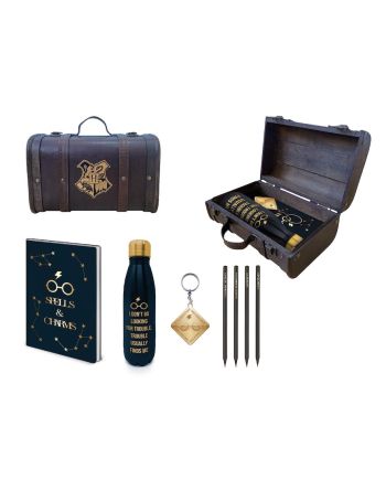 HARRY POTTER - Trouble Finds Me - Valise gift set premium - vue de dos