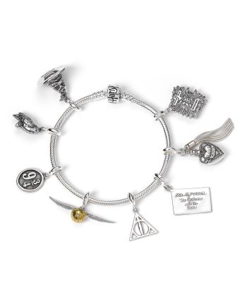 HARRY POTTER - Bracelet pour charmes - L (20cm) - vue de face
