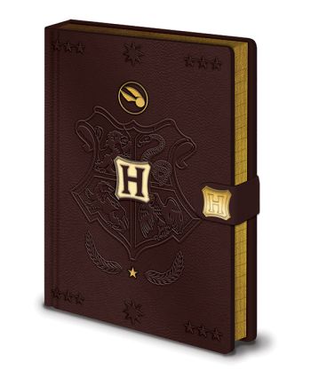 HARRY POTTER - Quidditch - Notebook A5 Premium - vue principale