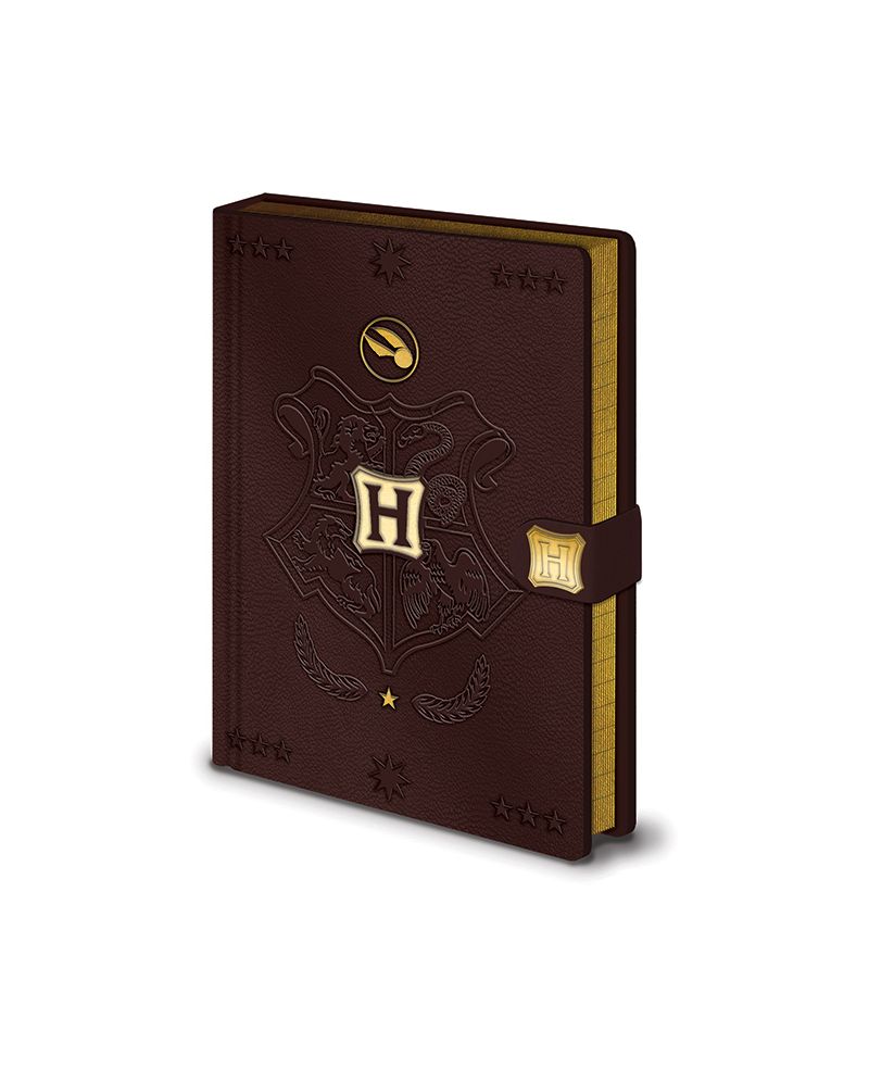 HARRY POTTER - Quidditch - Notebook A5 Premium - vue principale