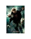 HARRY POTTER - Ron - Puzzle lenticulaire 3D 300P '46x31cm' - vue de face