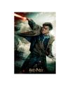 HARRY POTTER - Harry - Puzzle lenticulaire 3D 300P '46x31cm' - vue de face