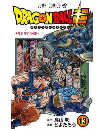 Dragon Ball Super - Tome 13 - vue principale