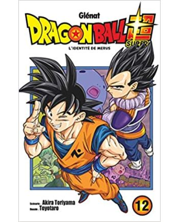 Dragon Ball Super - Tome 12 - vue principale