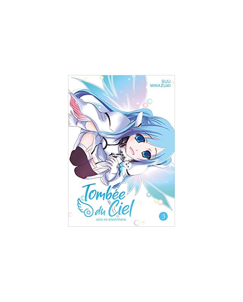 TOMBEE DU CIEL - Tome 3 - vue principale