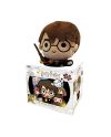HARRY POTTER - Puzzle lenticulaire 3D 300P '31x23cm' & peluche Harry - vue principale
