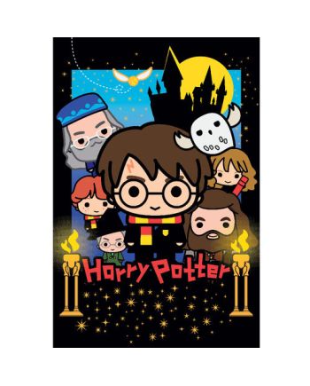 HARRY POTTER - Puzzle lenticulaire 3D 300P '31x23cm' & peluche Harry - vue de face