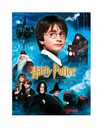 HARRY POTTER - Impression en Verre - Philosopher's Stone - 30X40 Cm - vue principale