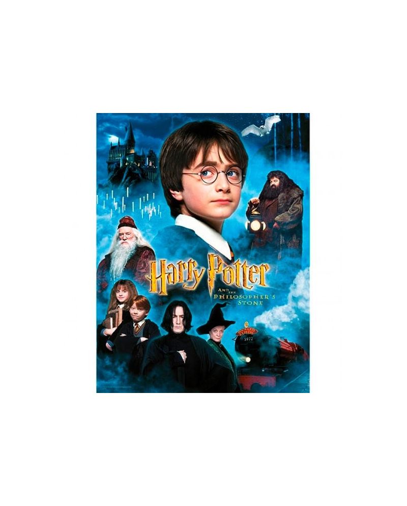 HARRY POTTER - Impression en Verre - Philosopher's Stone - 30X40 Cm - vue principale